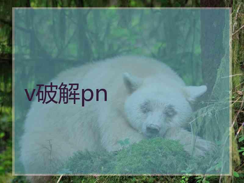 v破解pn