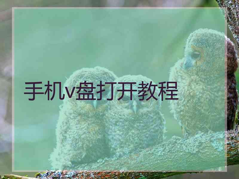 手机v盘打开教程