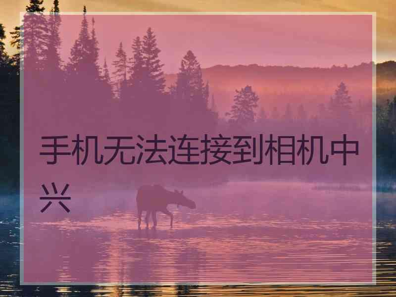 手机无法连接到相机中兴