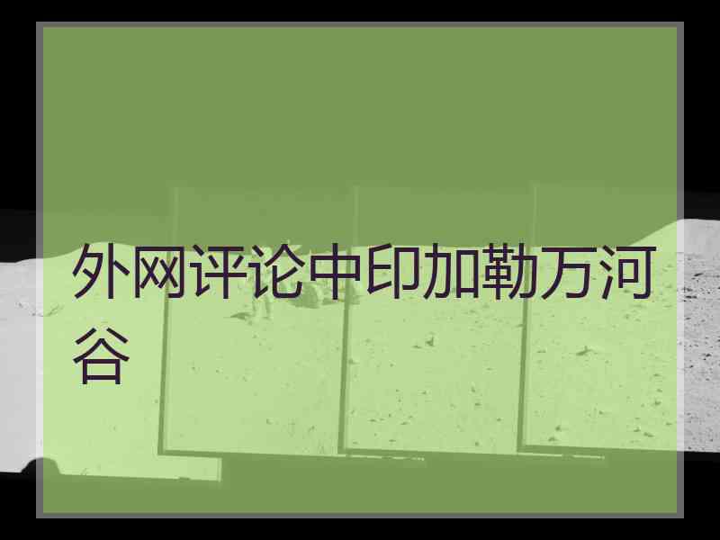外网评论中印加勒万河谷