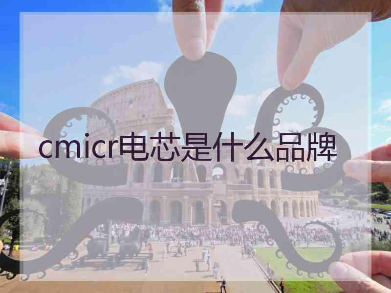 cmicr电芯是什么品牌
