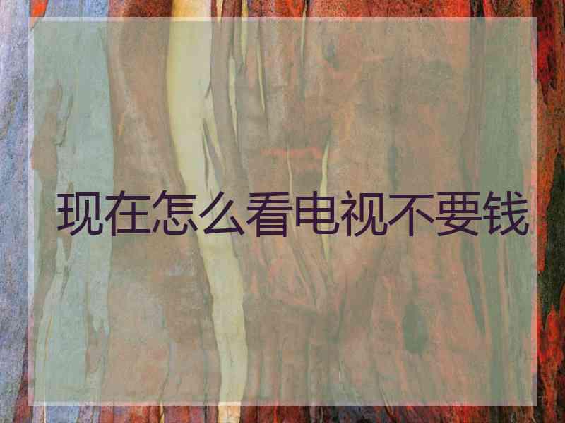 现在怎么看电视不要钱