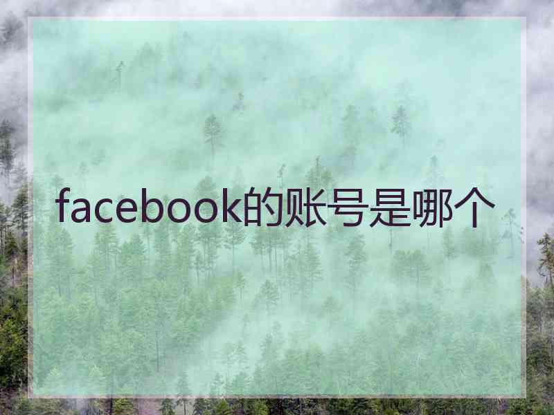 facebook的账号是哪个