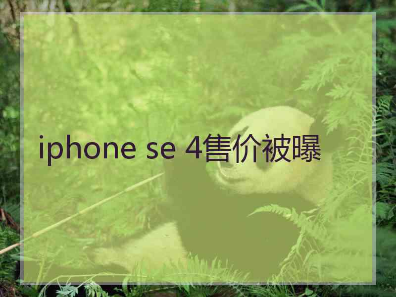 iphone se 4售价被曝