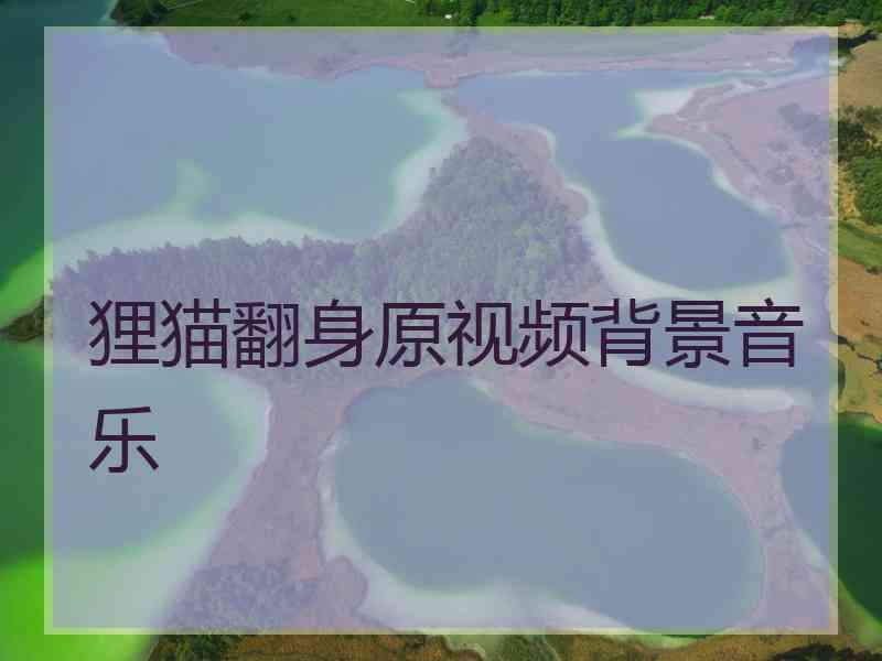 狸猫翻身原视频背景音乐