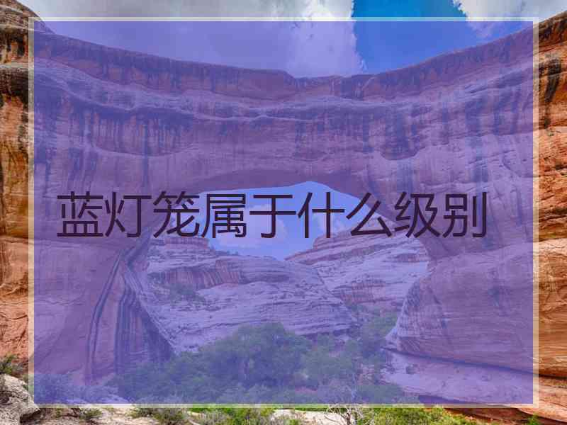 蓝灯笼属于什么级别