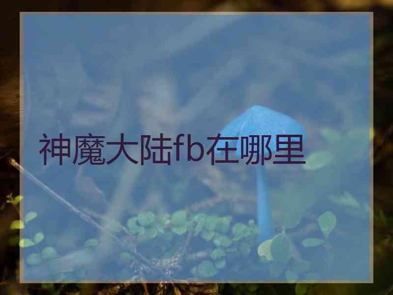 神魔大陆fb在哪里