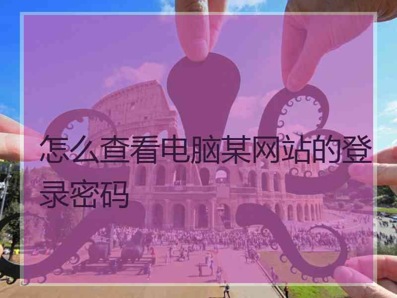 怎么查看电脑某网站的登录密码