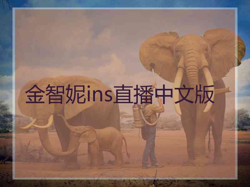 金智妮ins直播中文版
