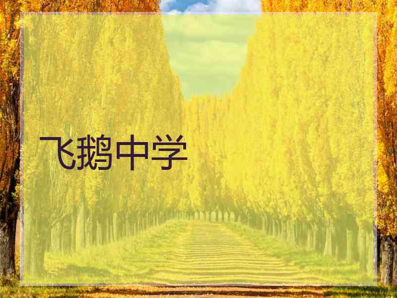飞鹅中学