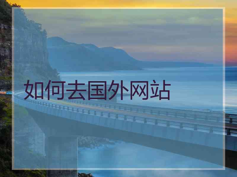 如何去国外网站