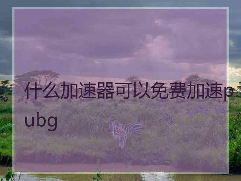 什么加速器可以免费加速pubg
