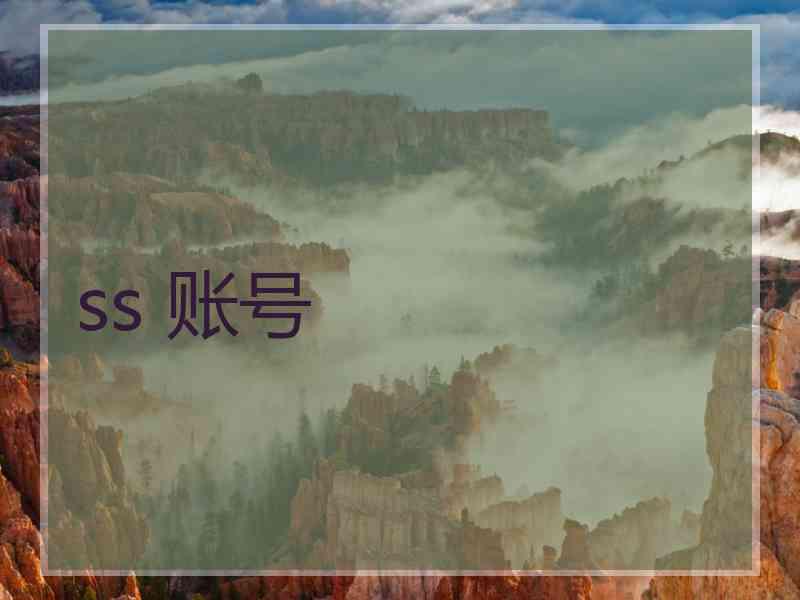 ss 账号