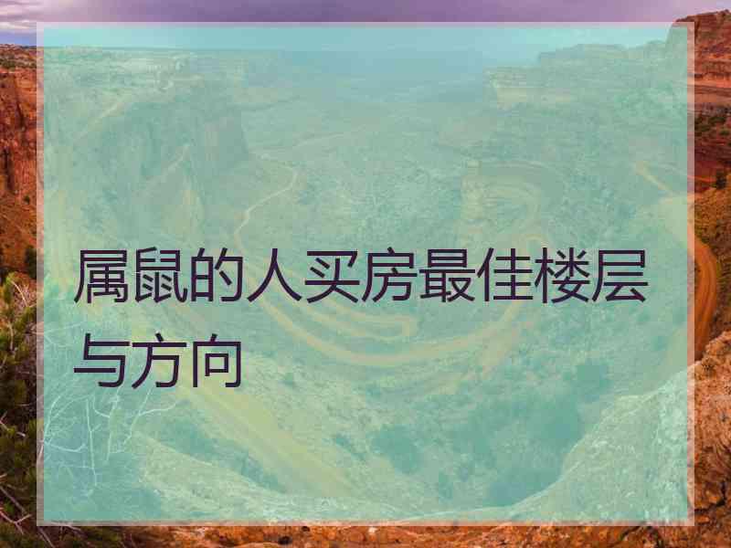 属鼠的人买房最佳楼层与方向