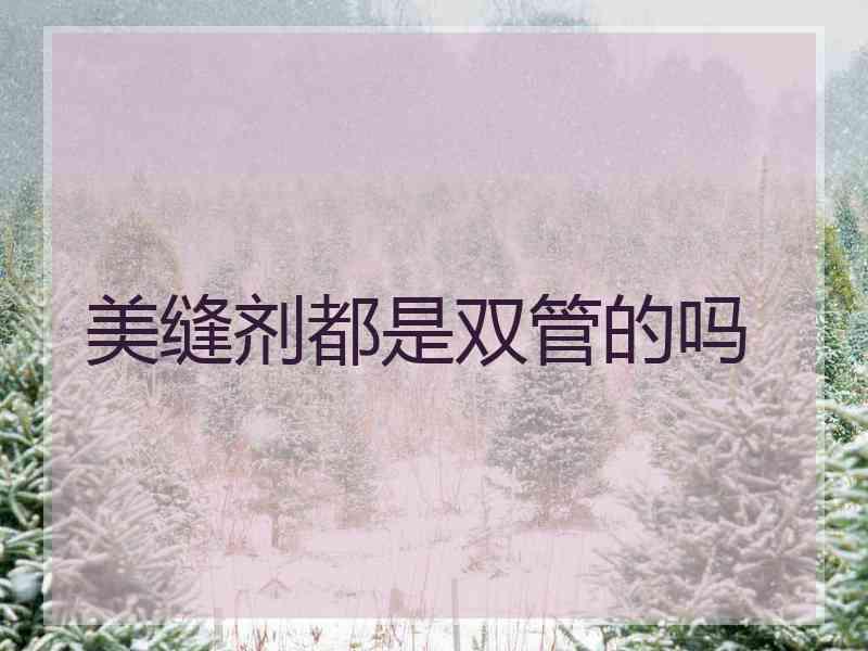 美缝剂都是双管的吗