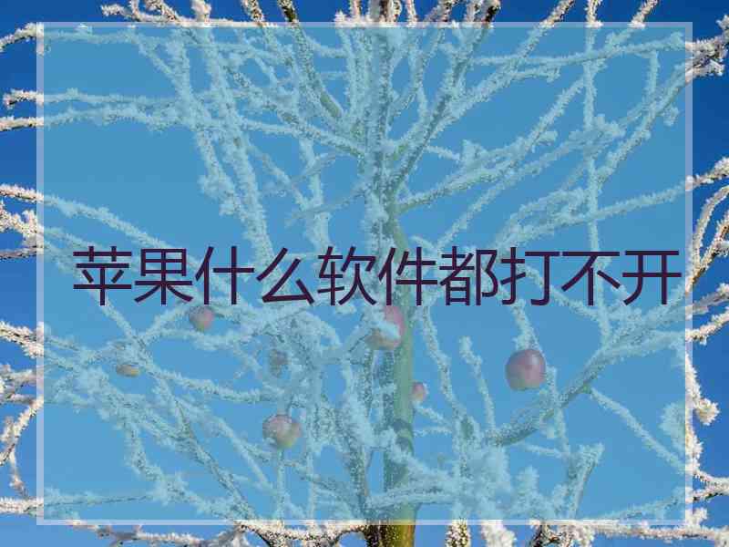 苹果什么软件都打不开