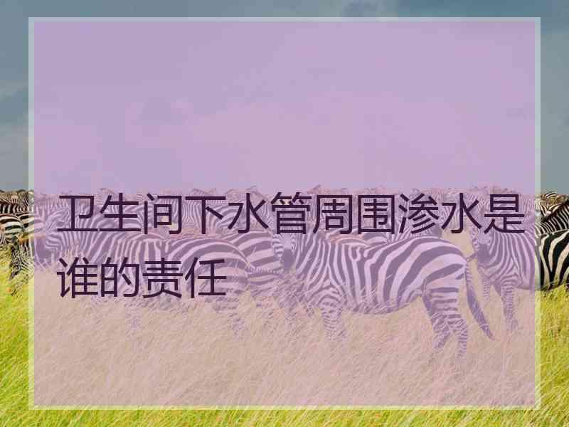 卫生间下水管周围渗水是谁的责任