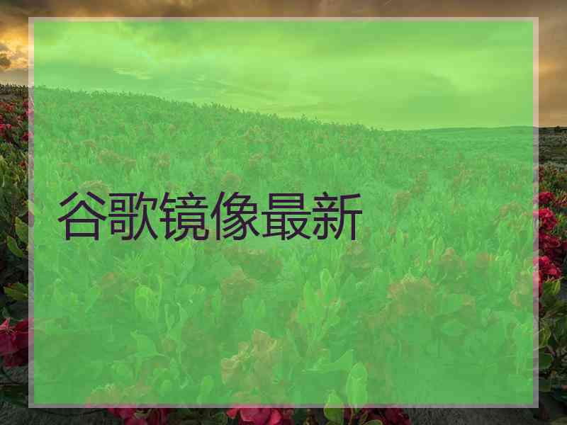 谷歌镜像最新
