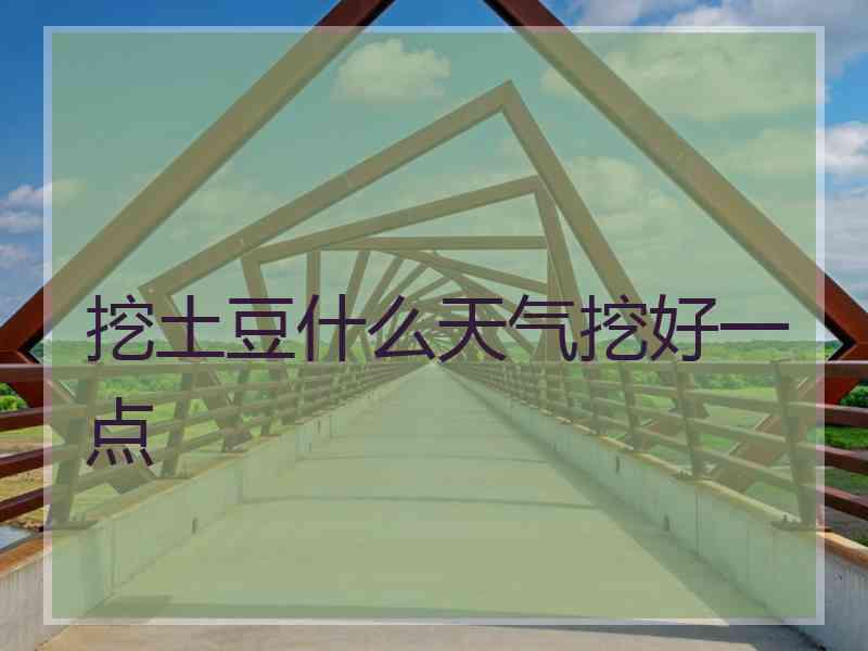 挖土豆什么天气挖好一点