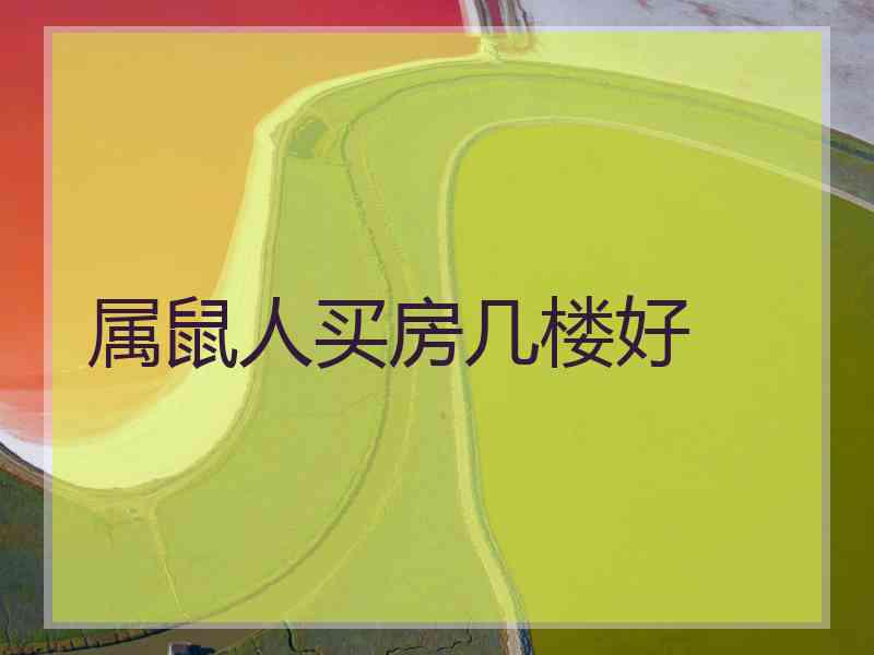 属鼠人买房几楼好