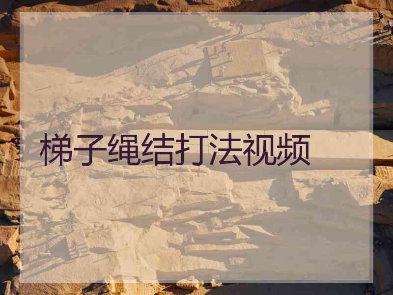 梯子绳结打法视频