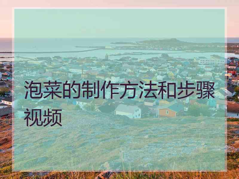 泡菜的制作方法和步骤视频