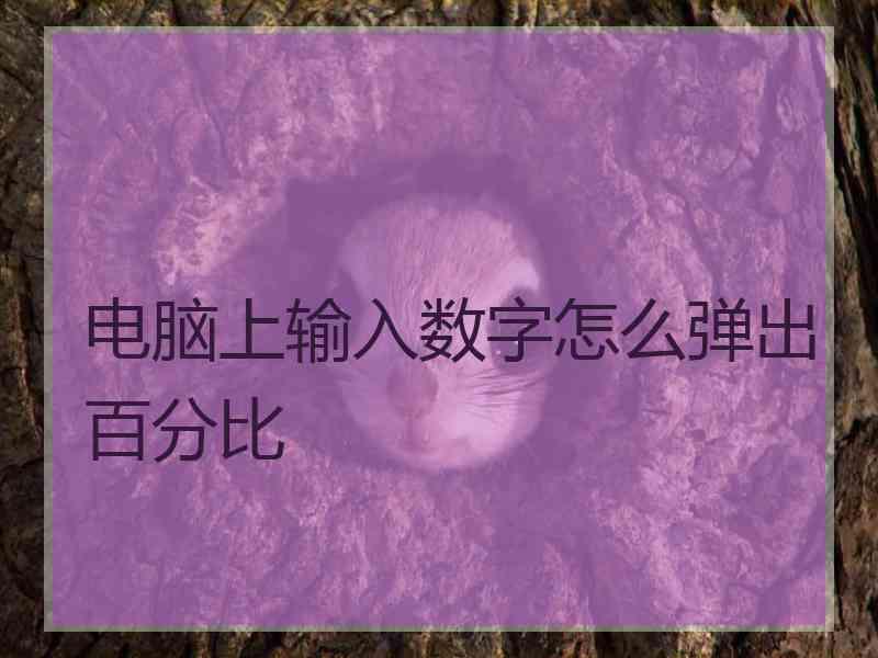 电脑上输入数字怎么弹出百分比