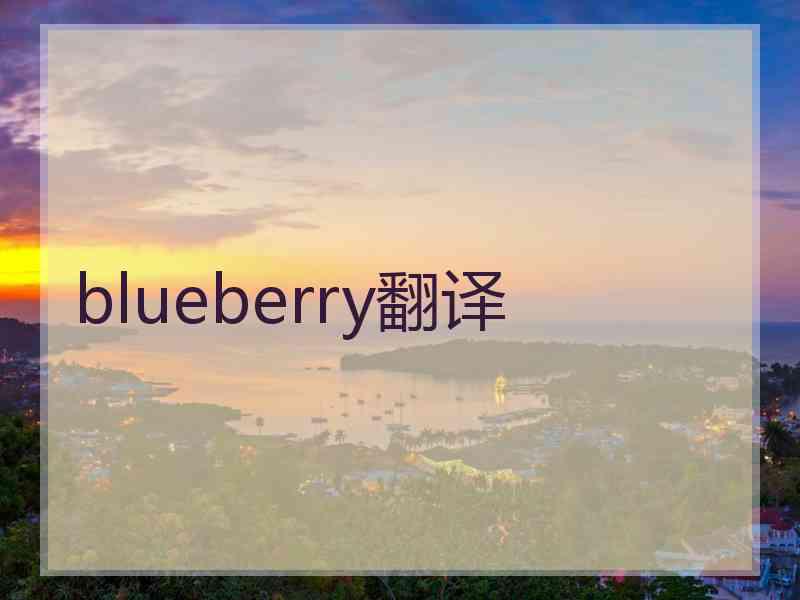 blueberry翻译