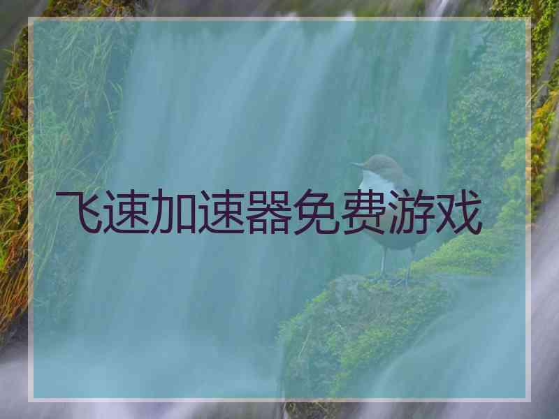 飞速加速器免费游戏