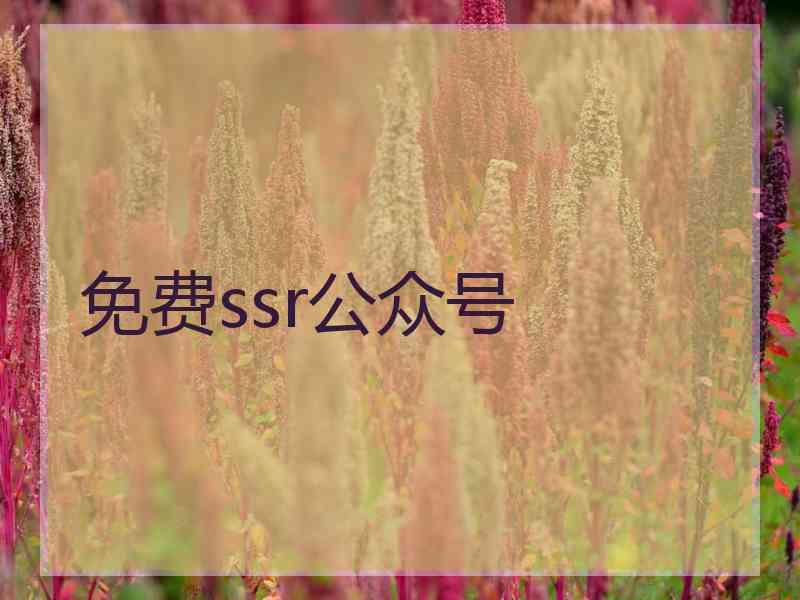 免费ssr公众号