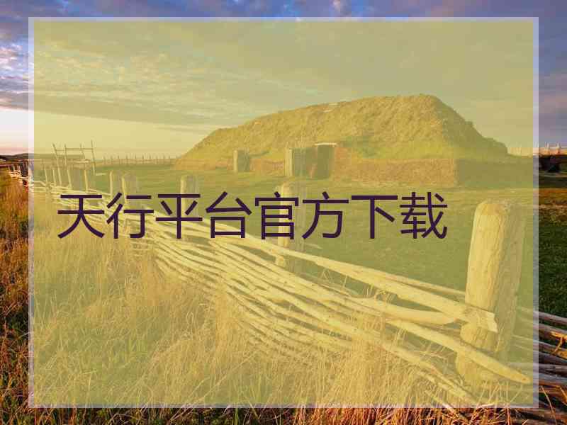 天行平台官方下载