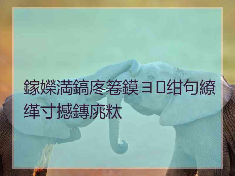 鎵嬫満鎬庝箞鏌ヨ绀句繚缂寸撼鏄庣粏