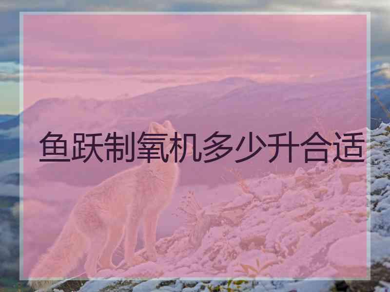 鱼跃制氧机多少升合适