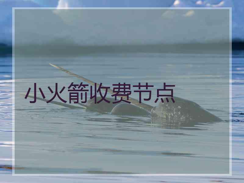 小火箭收费节点