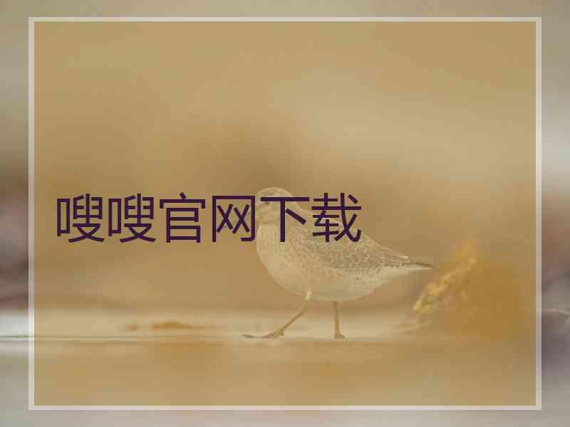 嗖嗖官网下载