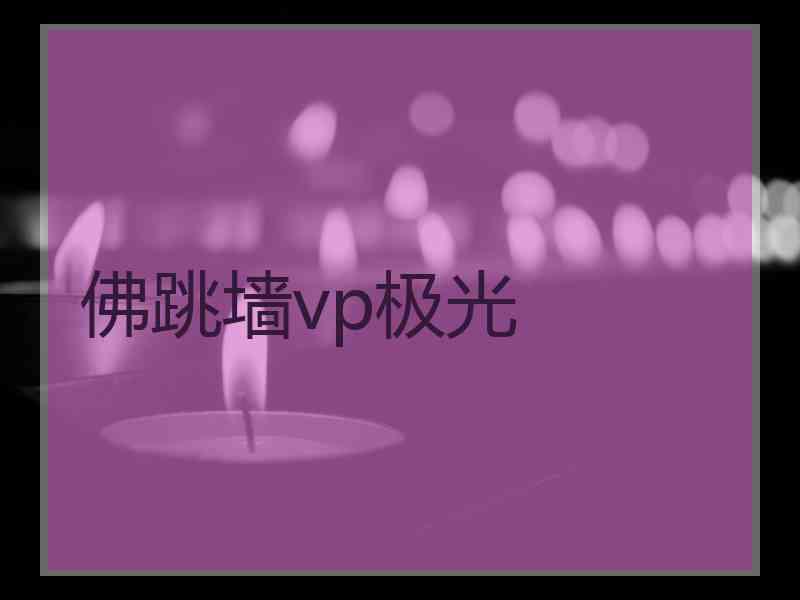 佛跳墙vp极光