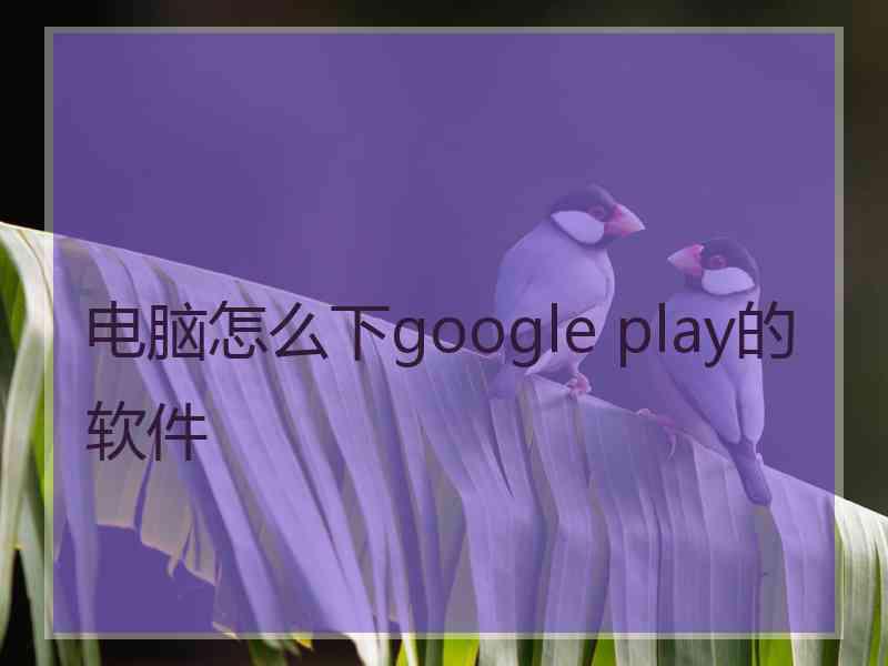 电脑怎么下google play的软件