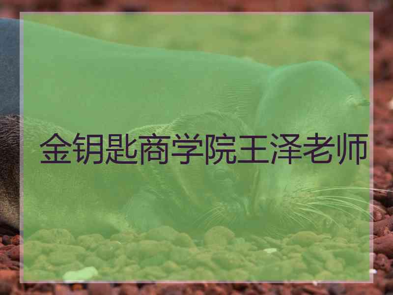 金钥匙商学院王泽老师