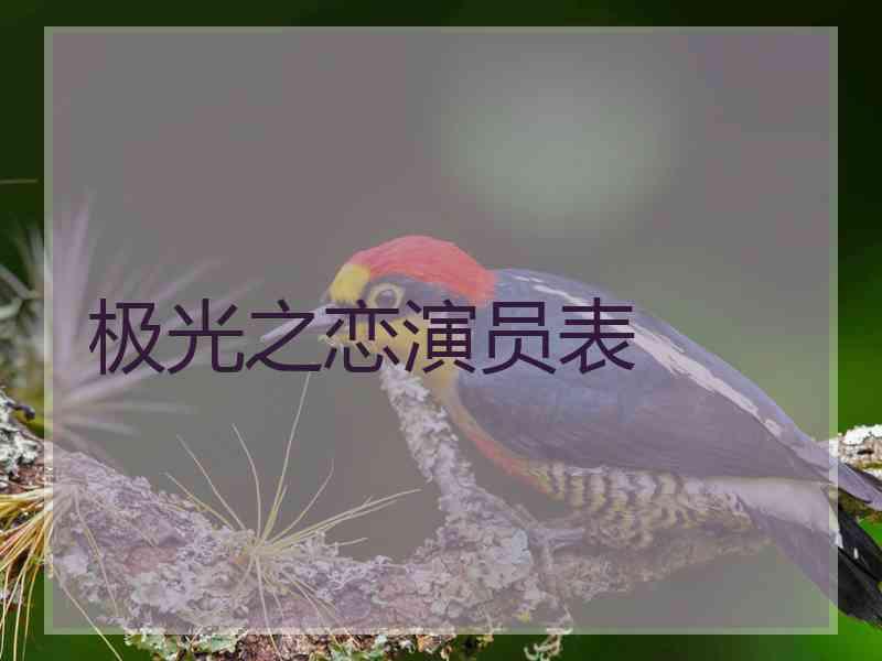 极光之恋演员表