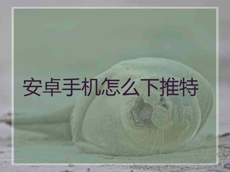 安卓手机怎么下推特