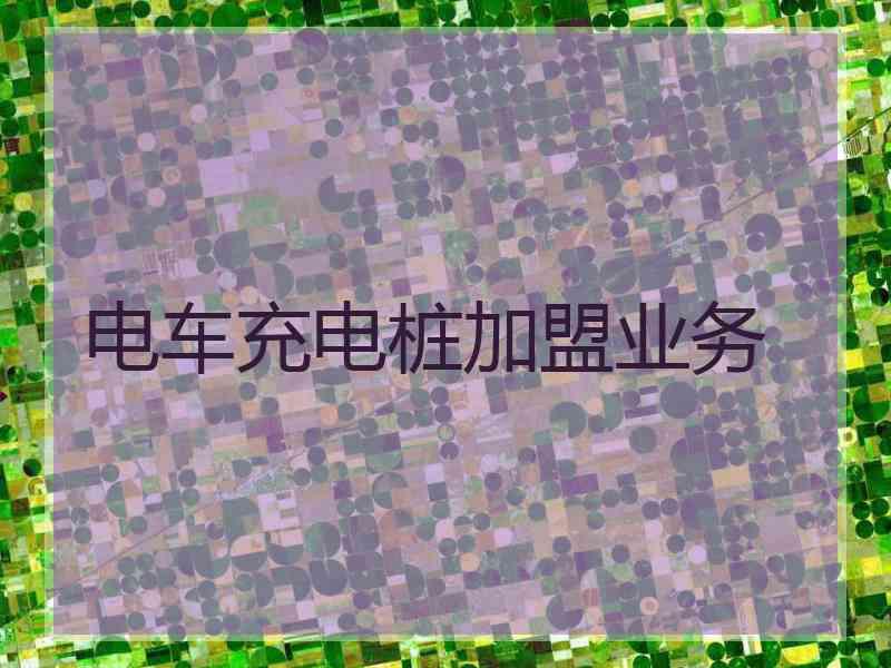 电车充电桩加盟业务