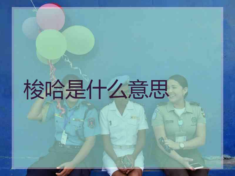 梭哈是什么意思