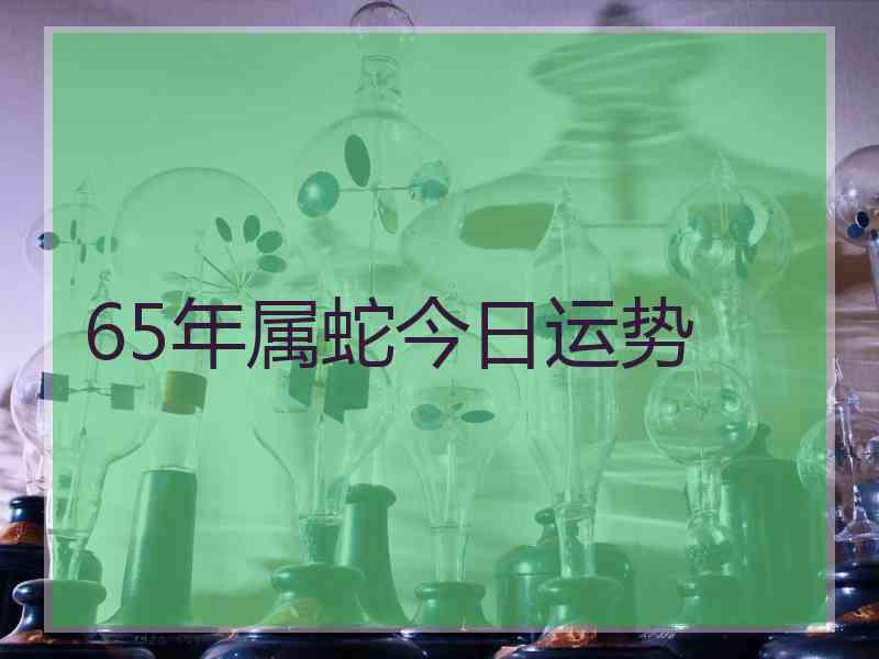 65年属蛇今日运势