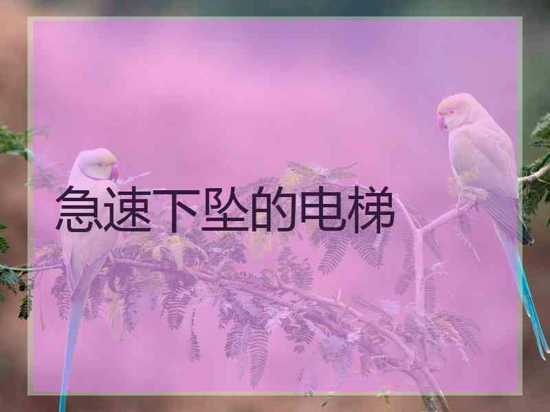 急速下坠的电梯