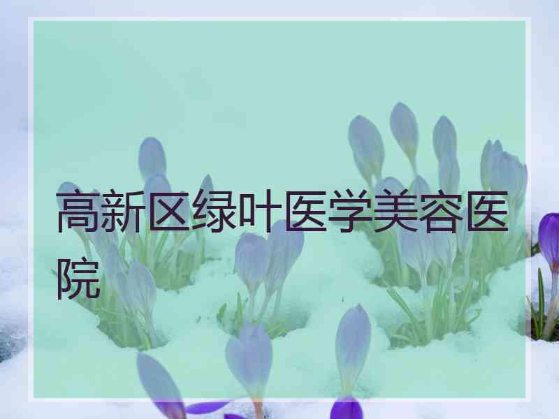 高新区绿叶医学美容医院