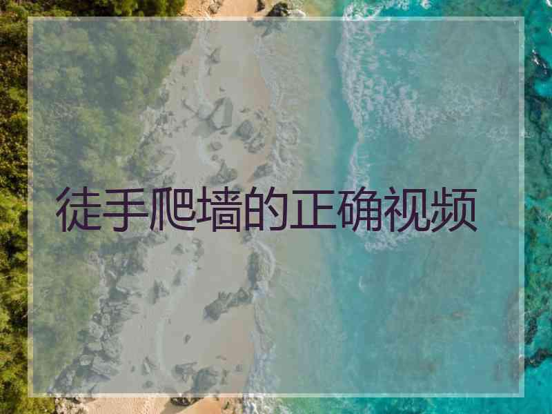 徒手爬墙的正确视频