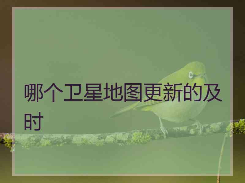 哪个卫星地图更新的及时