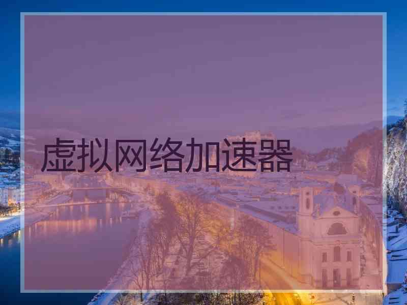 虚拟网络加速器