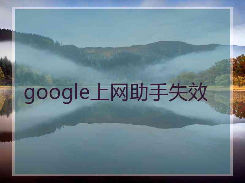 google上网助手失效