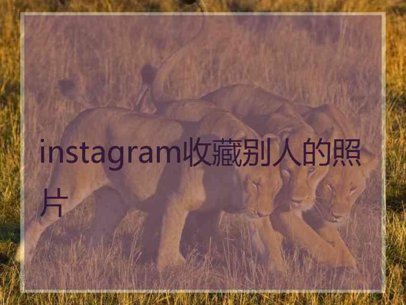 instagram收藏别人的照片